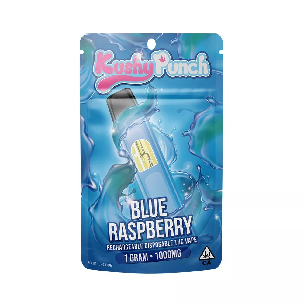 BLUE RASPBERRY AIO 1000MG product image