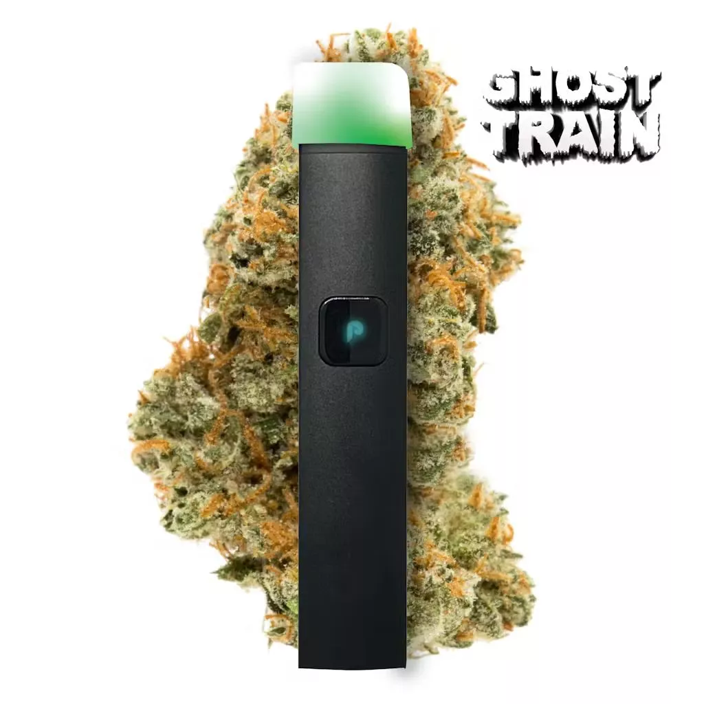 DNA JUSTPLAY READY TO USE VAPORIZER [1G] GHOST TRAIN