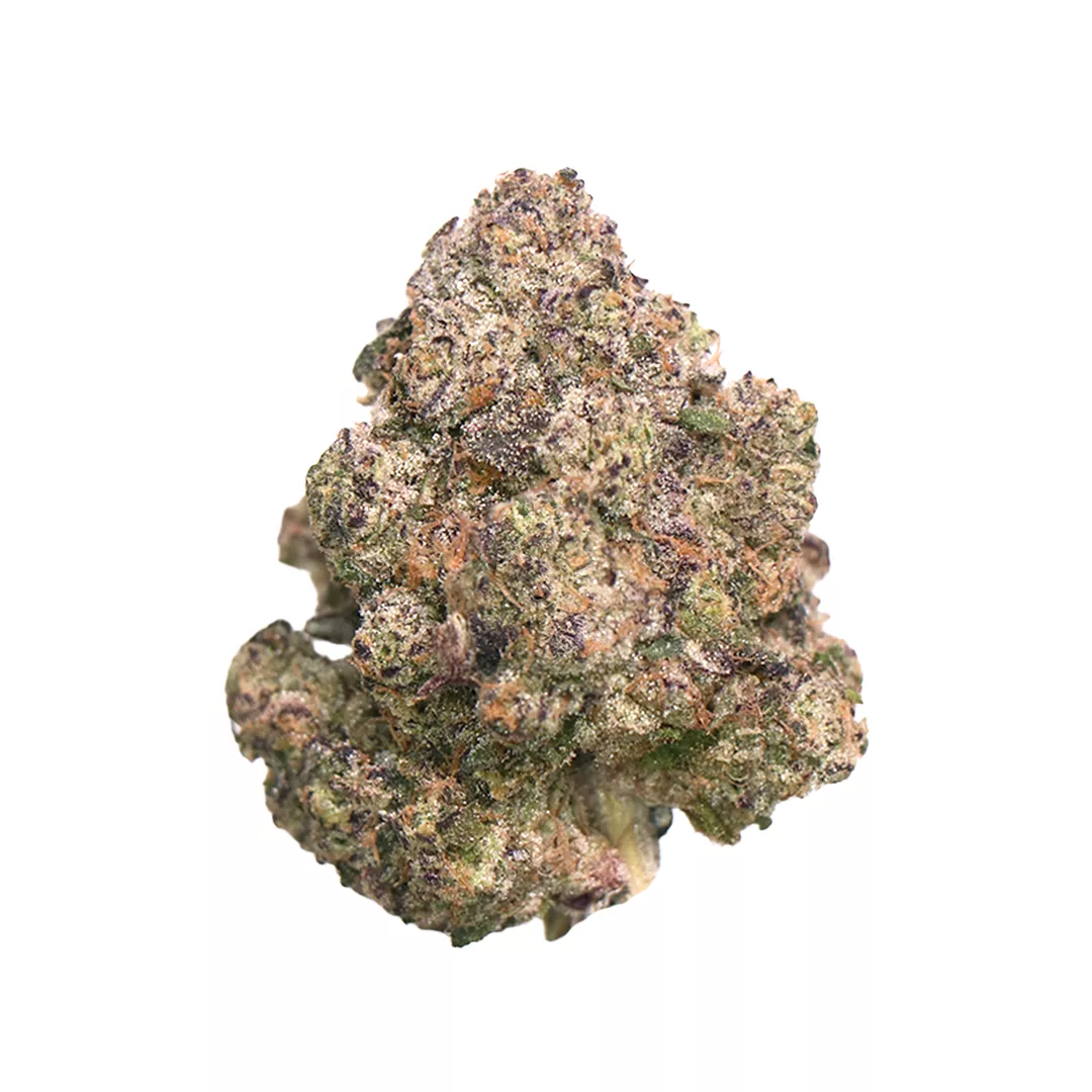 FLOWER BIGS [3.5G] RAINBOW BELTZ