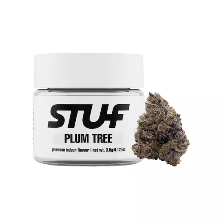 FLOWER [3.5G] PLUM TREE