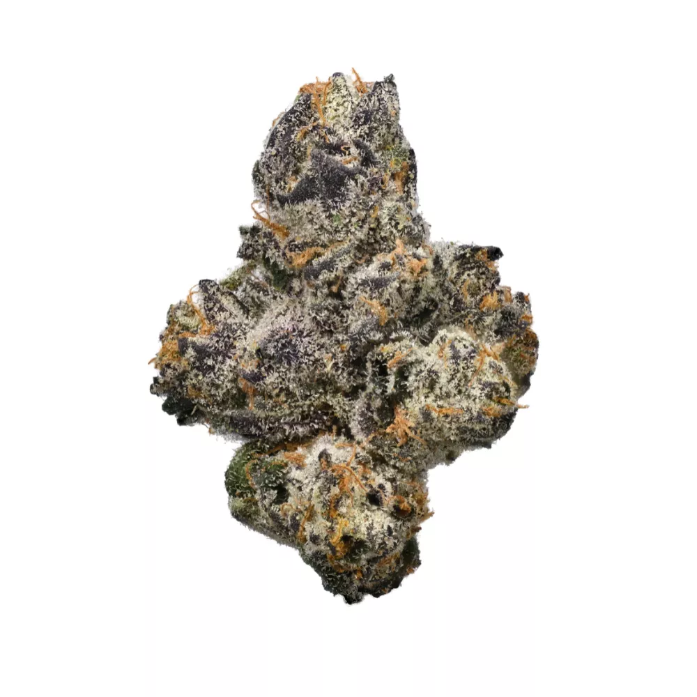 GUSHERS 3.5G