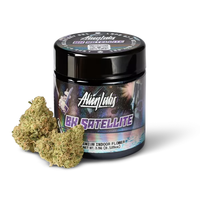 FLOWER [3.5G] BK SATELLITE product image