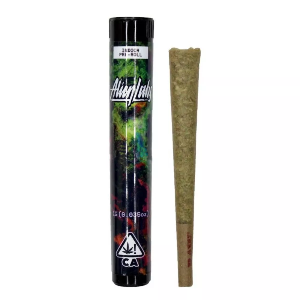 XJ-13 PREROLL 1G - 1 G