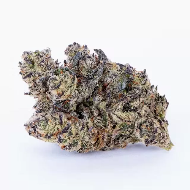 FLOWER [3.5G] WHITE TRUFFLE