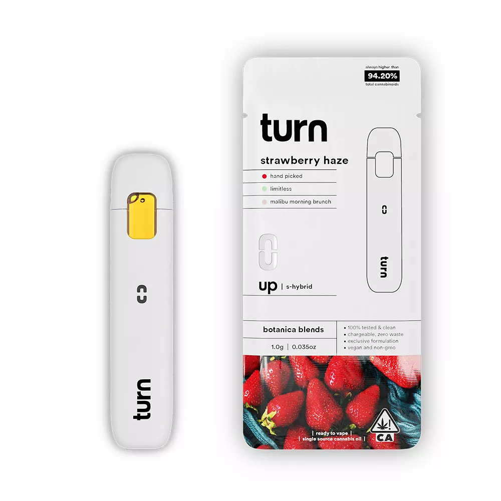 TURN - STRAWBERRY HAZE AIO 1000MG