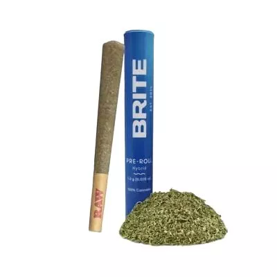 PREROLL [1G] BISCOTTI SHERB - 1 G product image