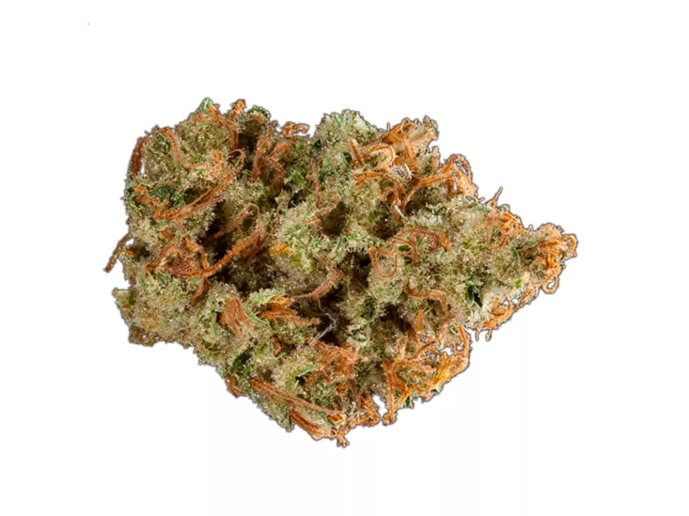 J1 3.5G