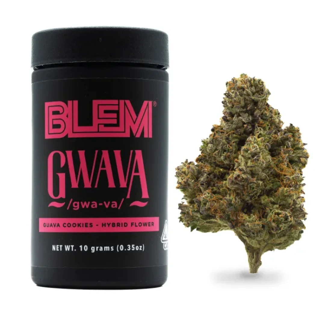 GWAVA 10G