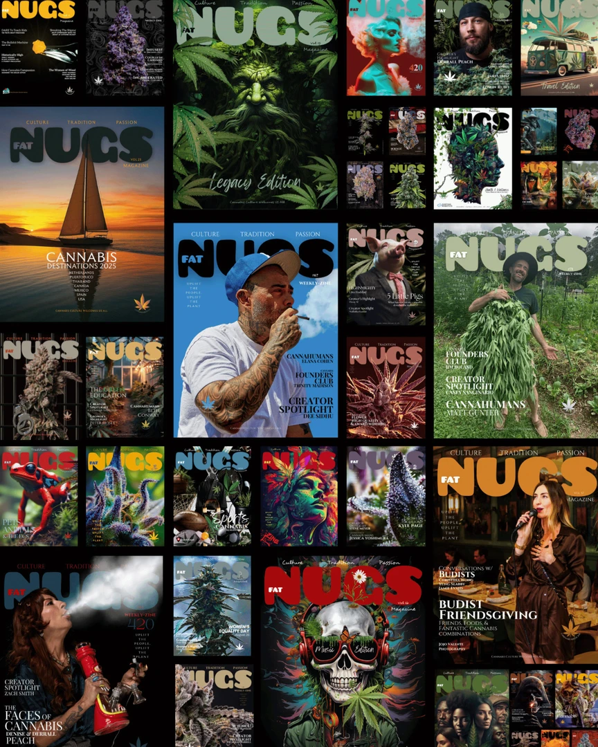 1 Year of Fat Nugs product image
