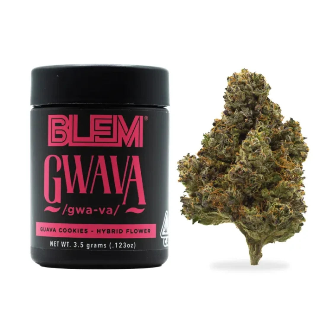GWAVA 3.5G