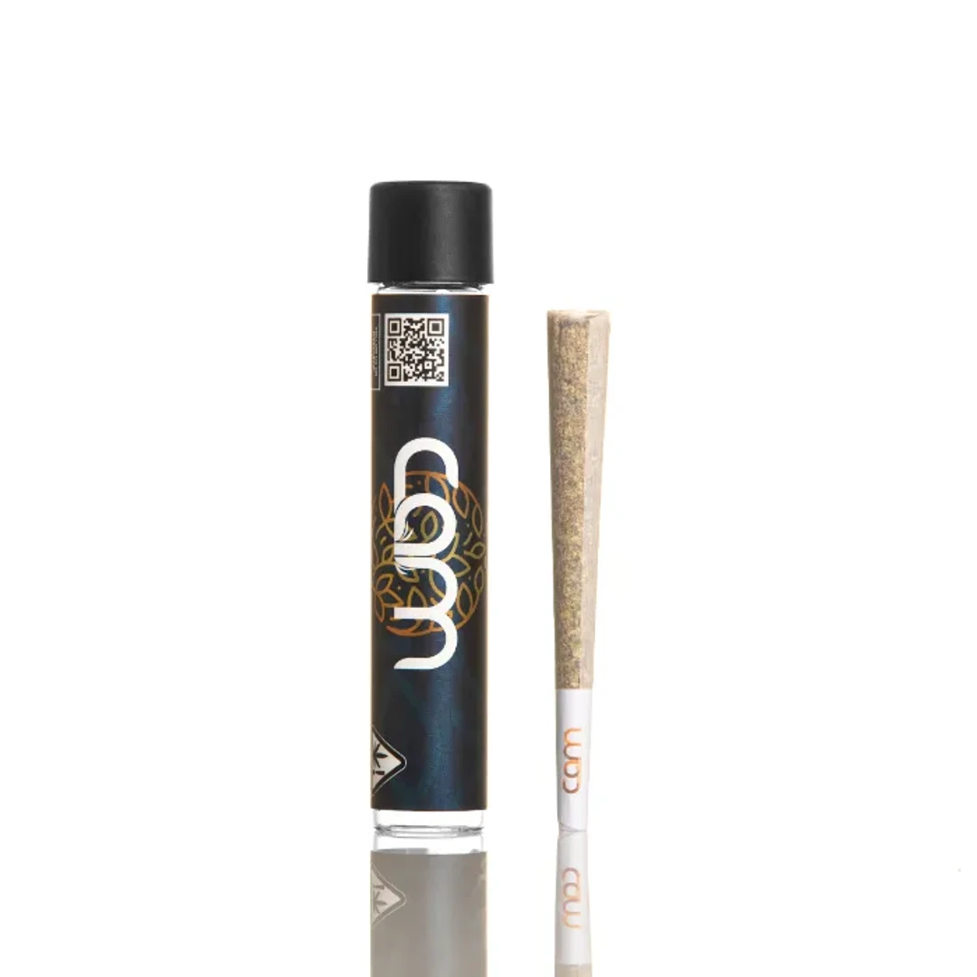 UK CHEESE PREROLL 1G - 1 G product image