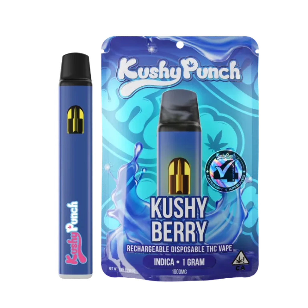 KUSHY BERRY ALL IN ONE 1G