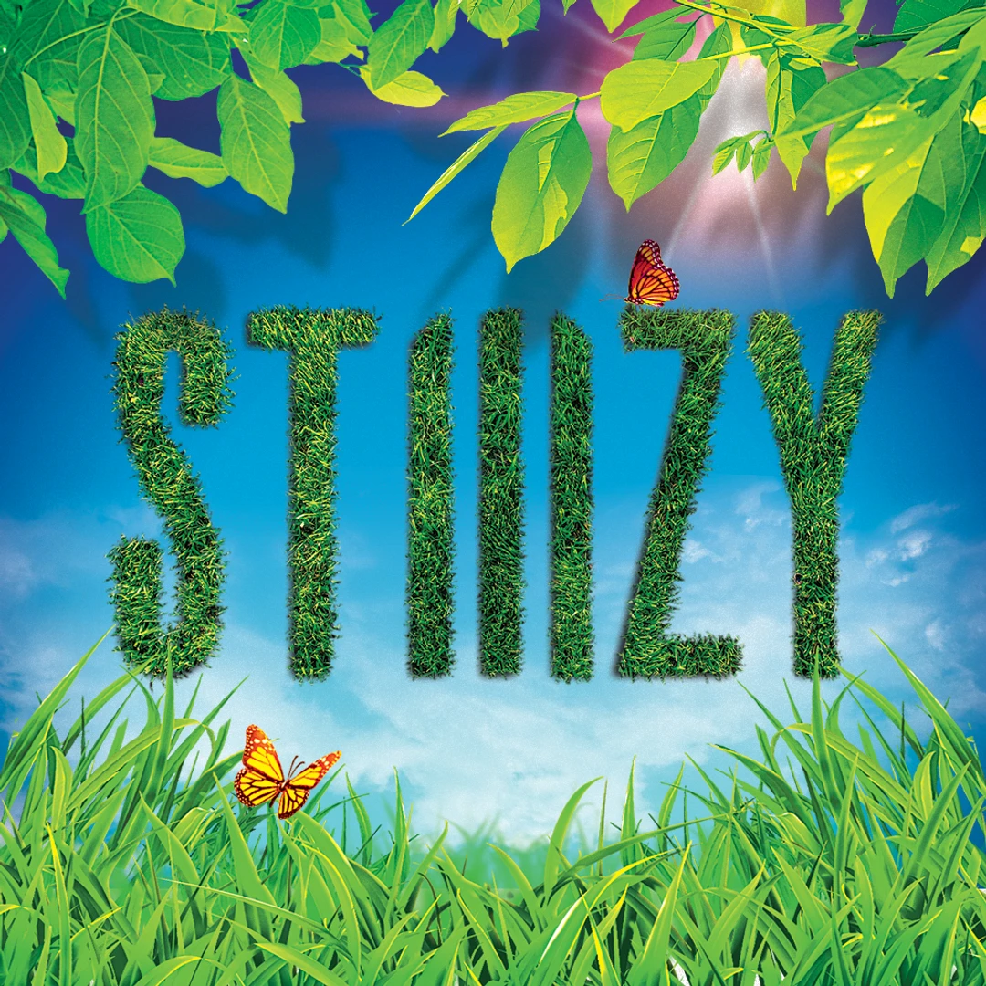 STIIIZY logo