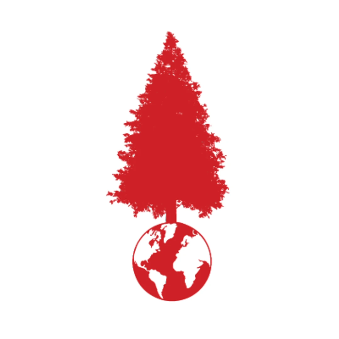 BIG TREE logo