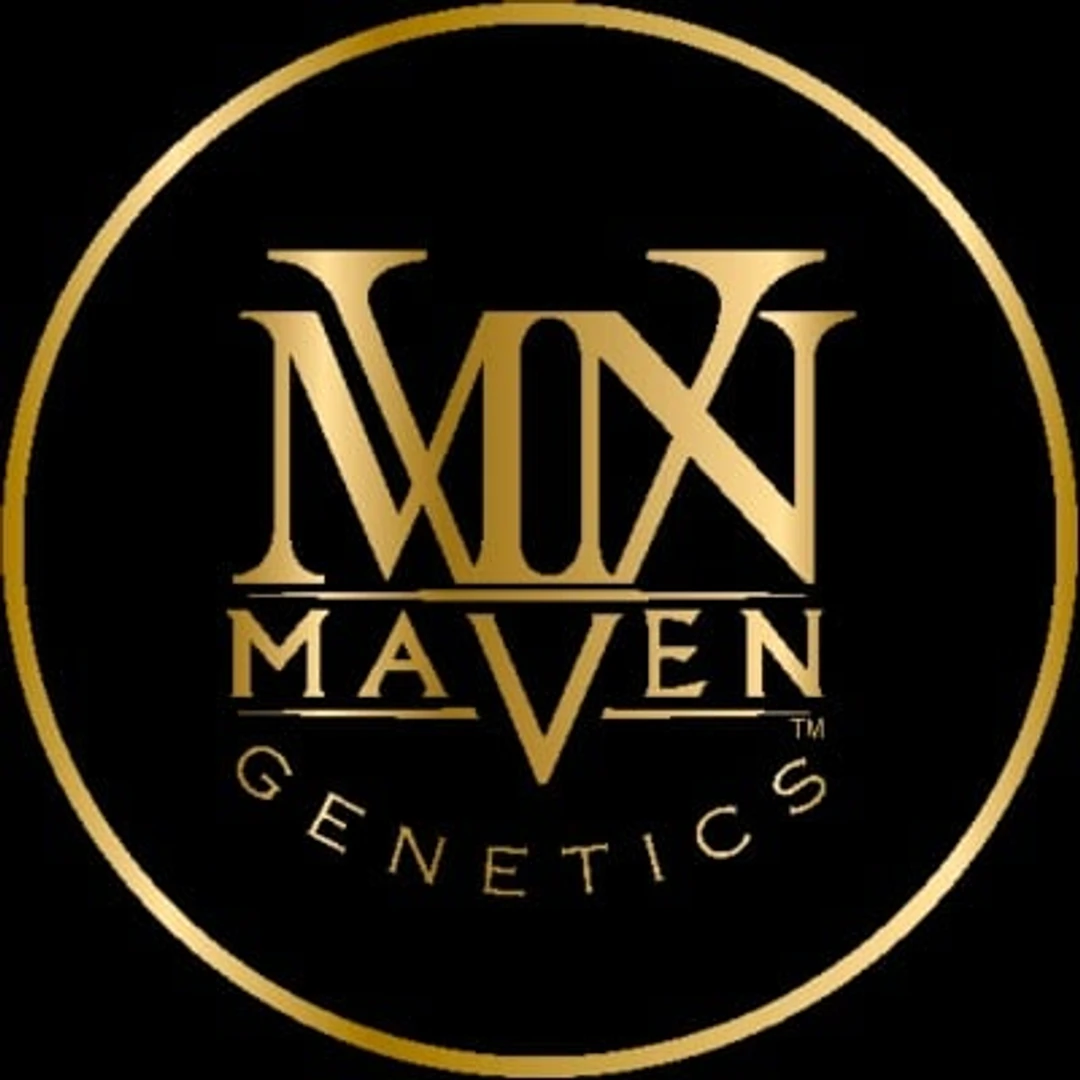 MAVEN logo