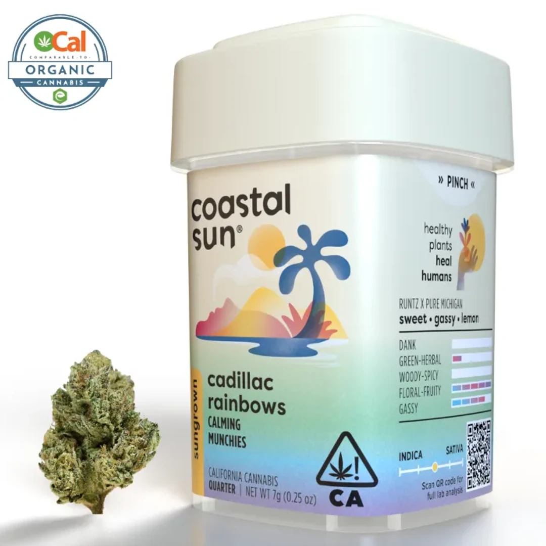 COASTAL SUN - CADILLAC RAINBOWS 7G
