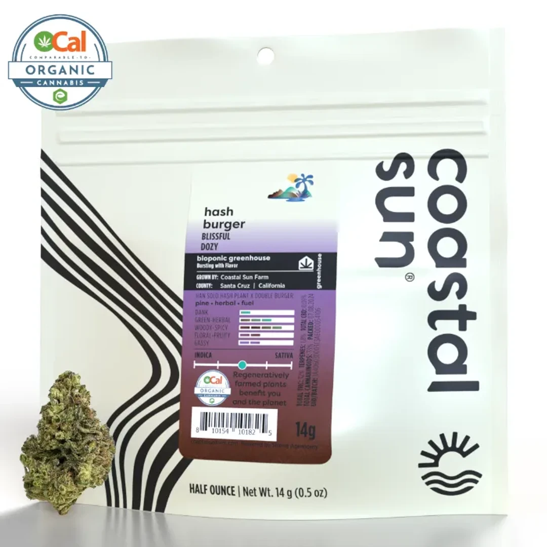 HASH BURGER - 14 g