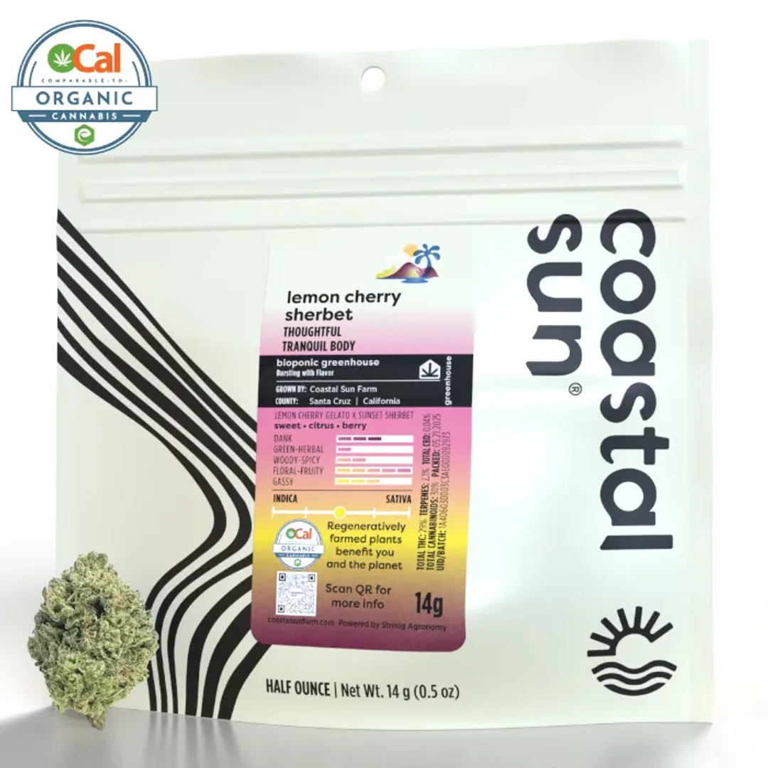 Coastal Sun — Lemon Cherry Sherbet