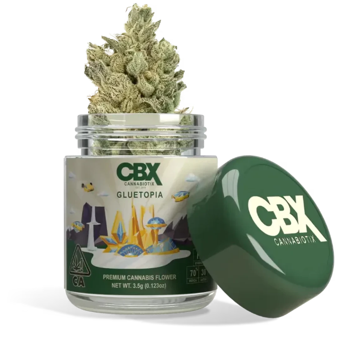 GLUETOPIA 3.5G