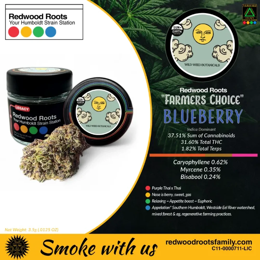 FARMER'S CHOICE FLOWER [3.5G] BLUEBERRY BY WILD WEED BOTANICALS - 3.5 G product image
