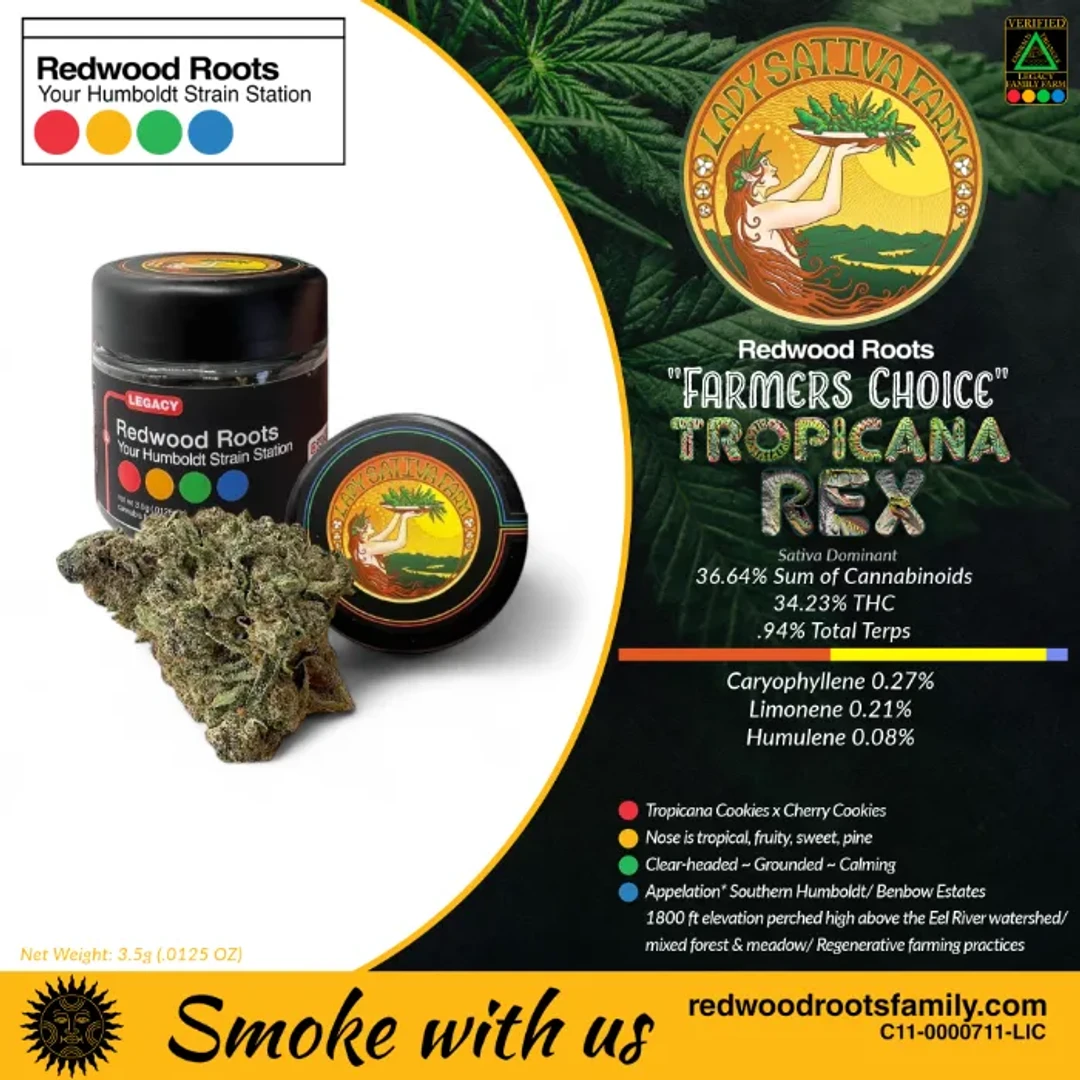 FARMER'S CHOICE FLOWER [3.5G] TROPICANA REX BY LADY SATIVA - 3.5 G product image