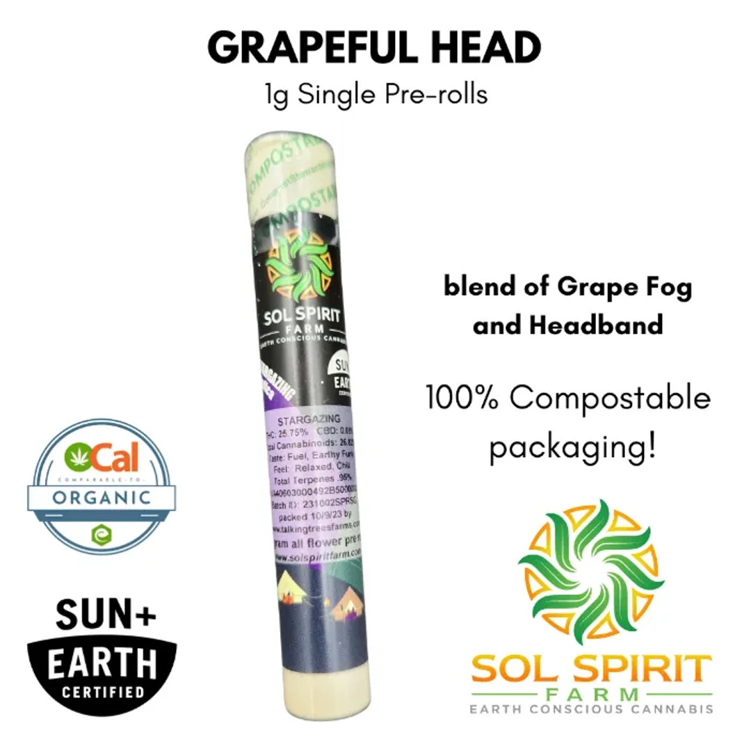 PREROLL [1G] GRAPEFUL HEAD - 1 G product image