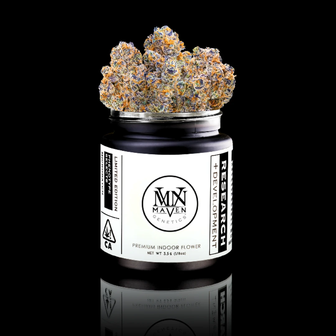 KEY LIME JACK X ORANGE BELLINI 3.5G - 3.5 g