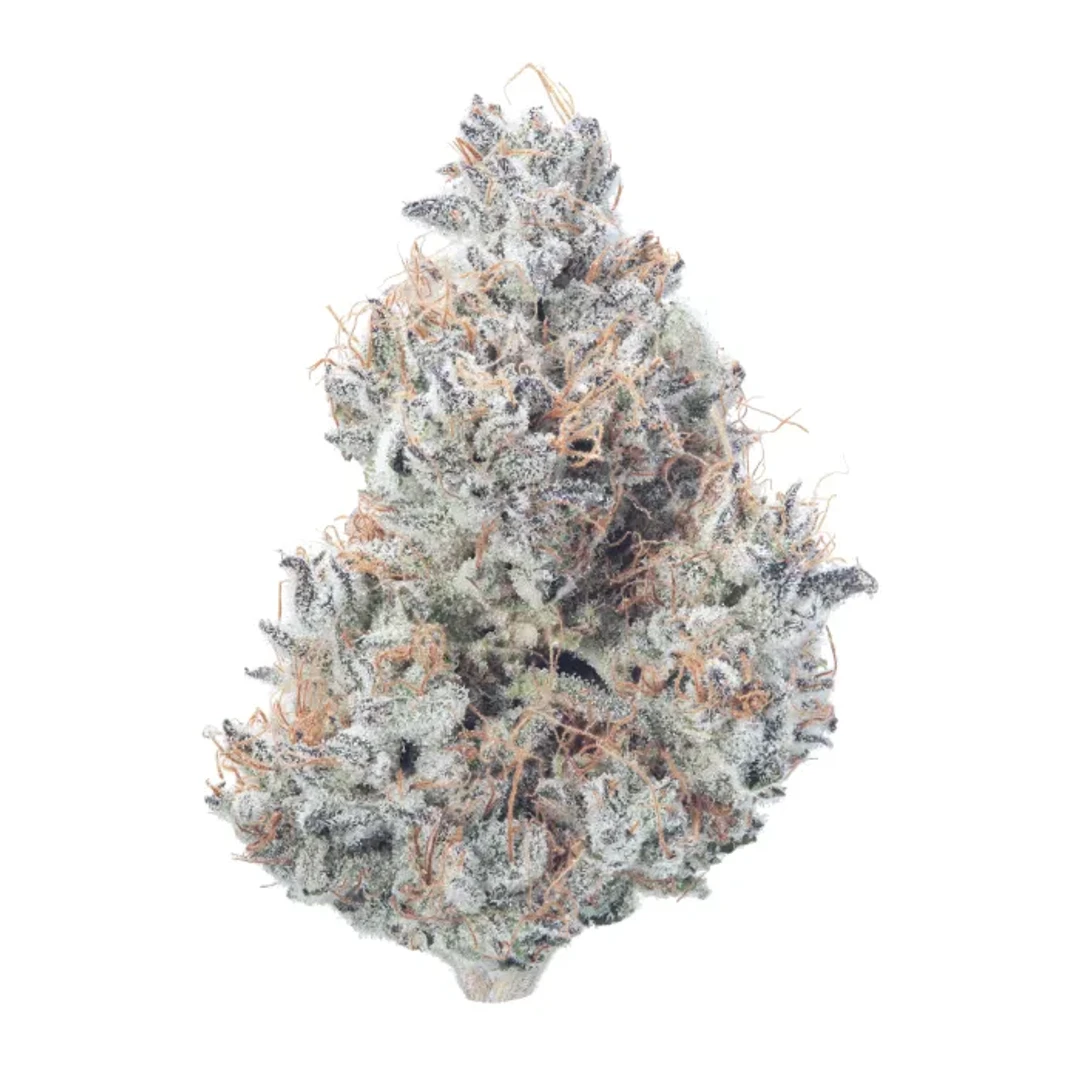 PURPLE DUMP TRUCK 3.5G