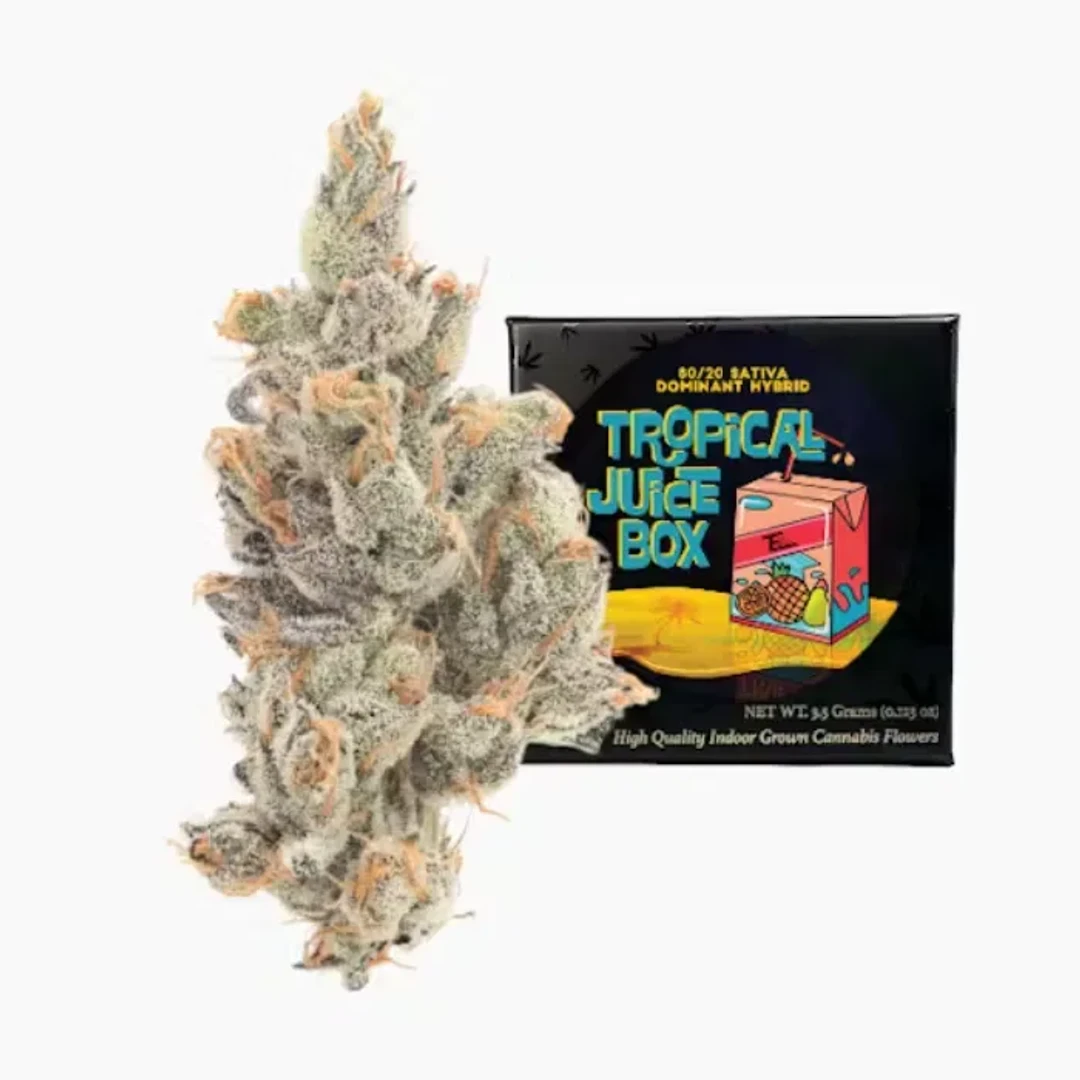 TEAM ELITE GENETICS - TROPICAL JUICE BOX 3.5G