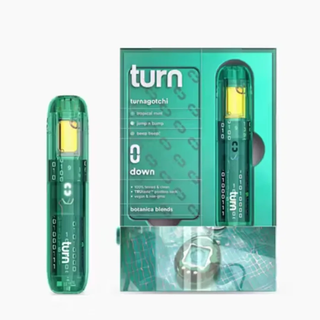 TURNAGOTCHI RETROVISION ALL IN ONE 1000MG