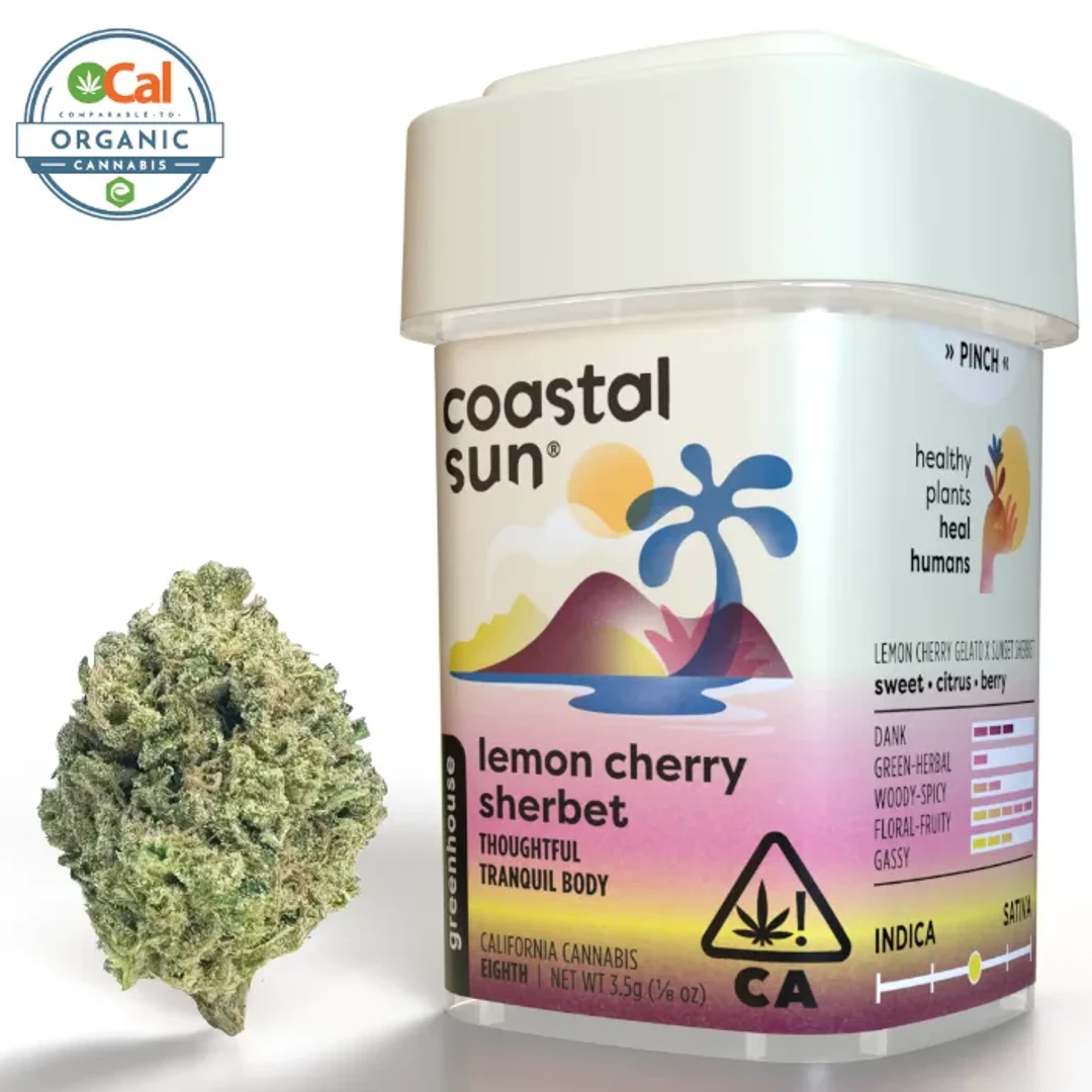 Coastal Sun — Lemon Cherry Sherbet