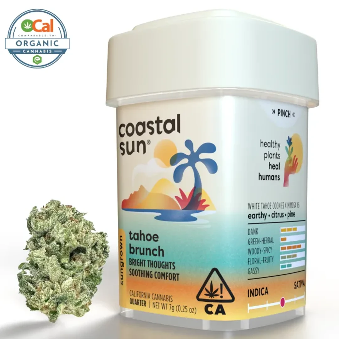 COASTAL SUN -  TAHOE BRUNCH 7G