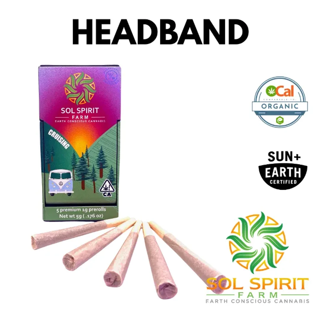 PREROLL 5PK [5G] HEADBAND - 5 G - 5 PACK product image