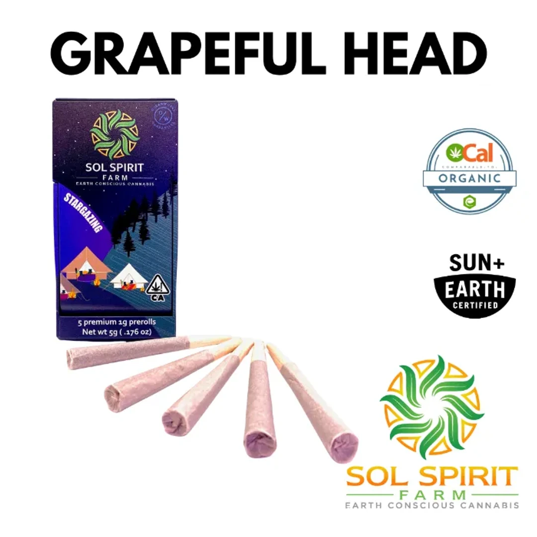 PREROLL 5PK [5G] GRAPEFUL HEAD - 5 G - 5 PACK