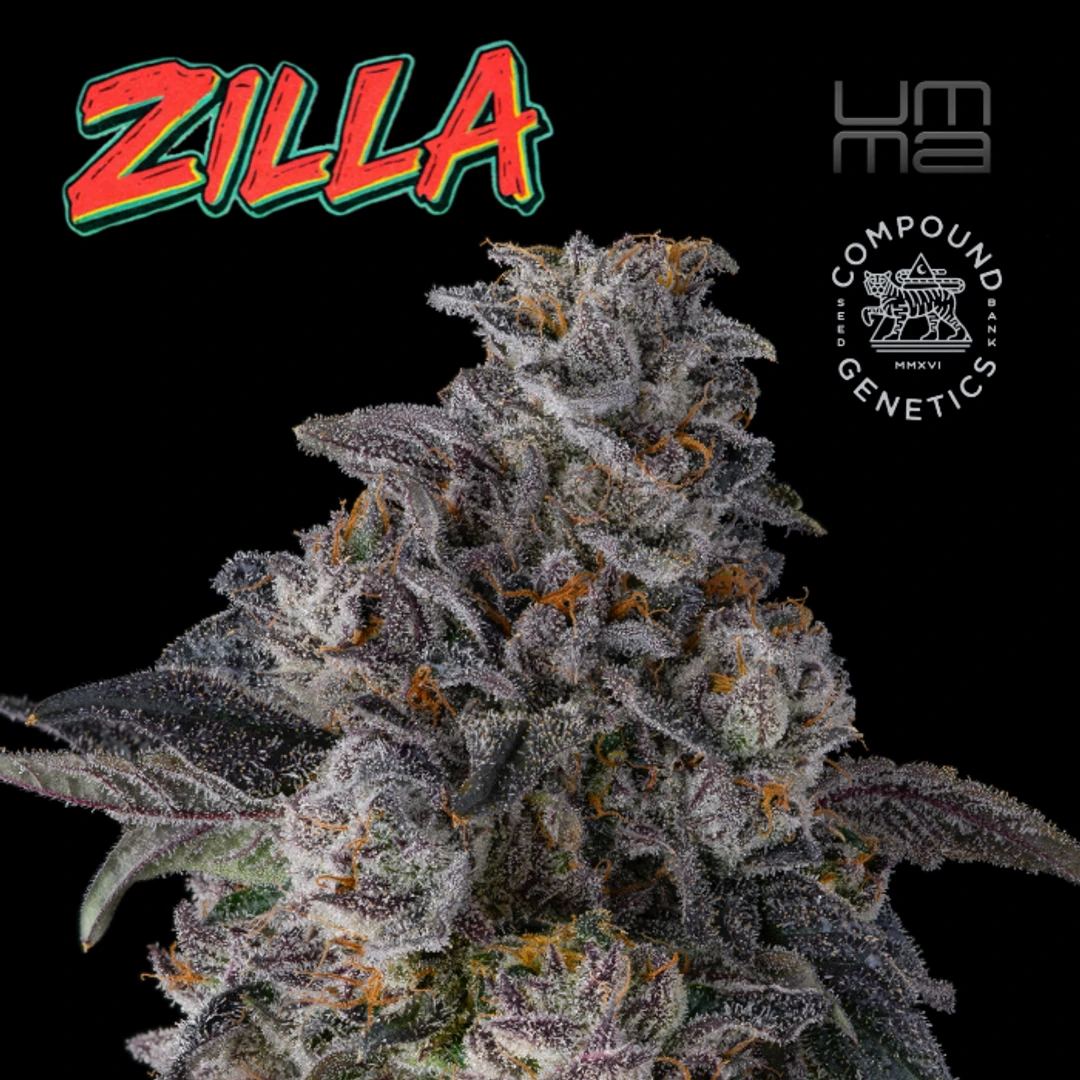 FLOWER [3.5G] ZILLA - 3.5 G product image