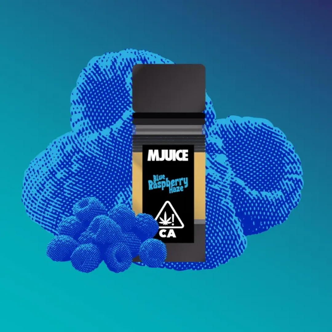 BLUE RASPBERRY HAZE POD 1000MG