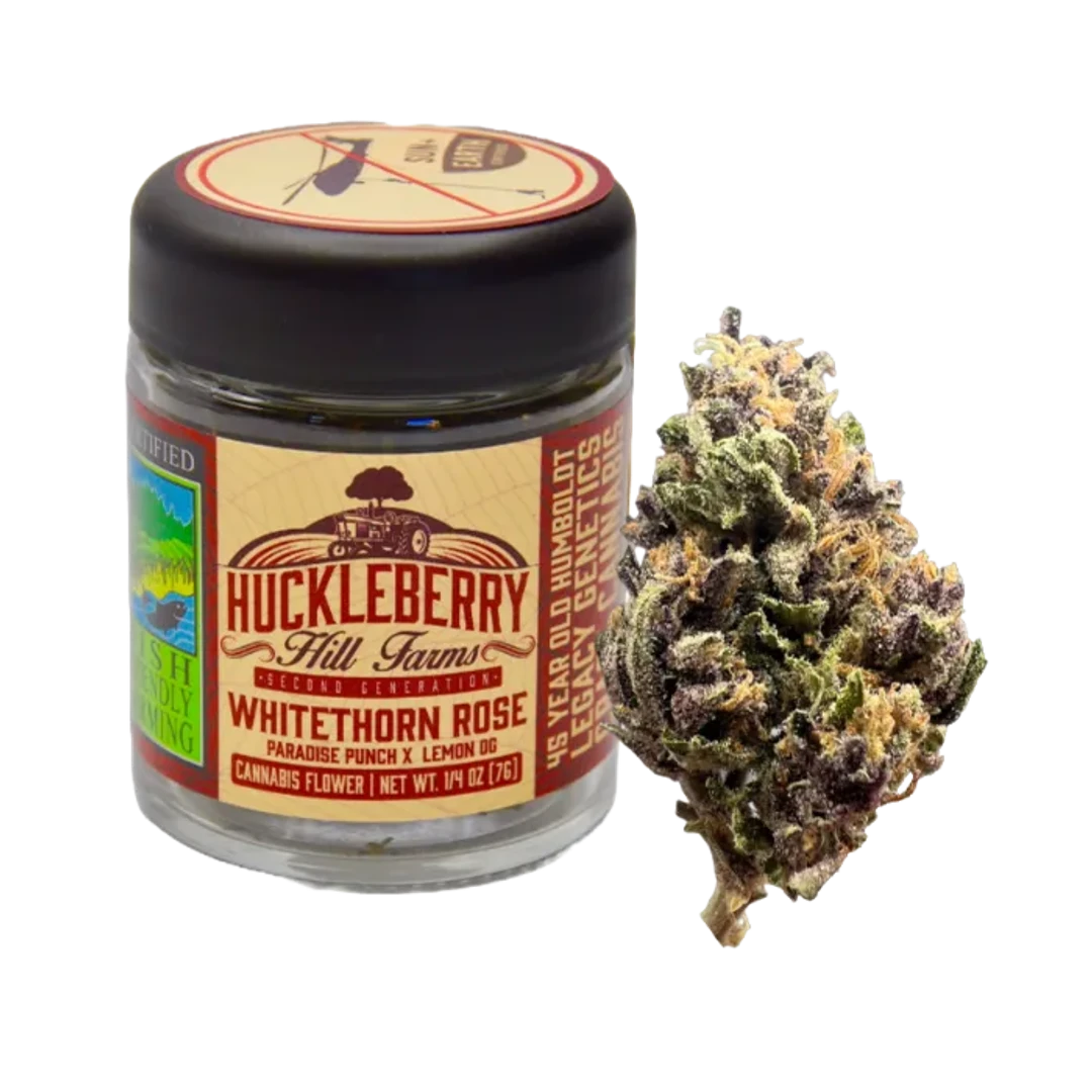 LIMITED EDITION ESTATE GROWN FLOWER [7G] WHITETHORN ROSE - 7 G