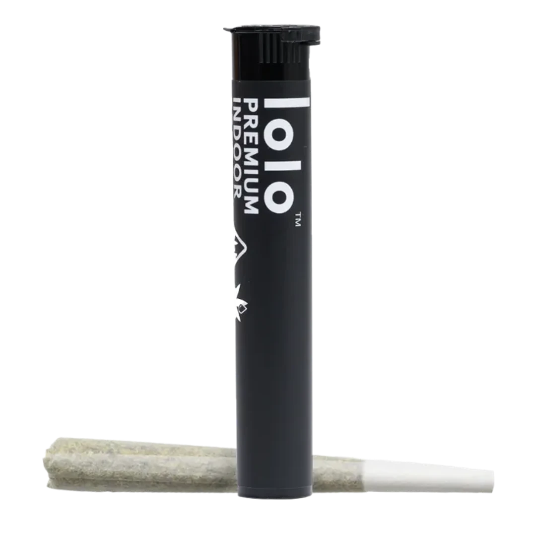 INFUSED PREROLL [1G] MARMALADE - 1 G product image