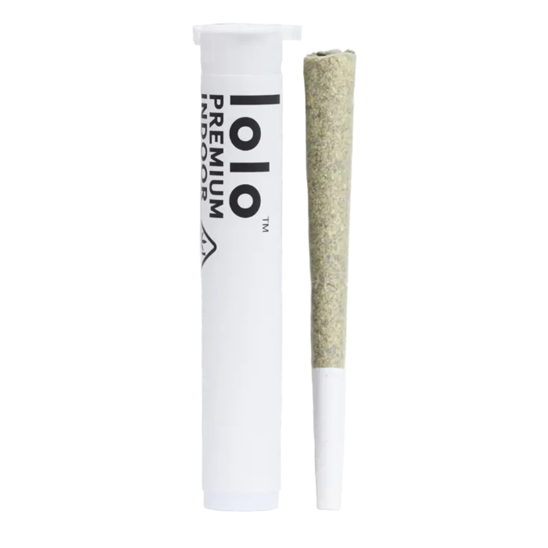PREROLL [1G] TANGERINE COOKIES - 1 G product image