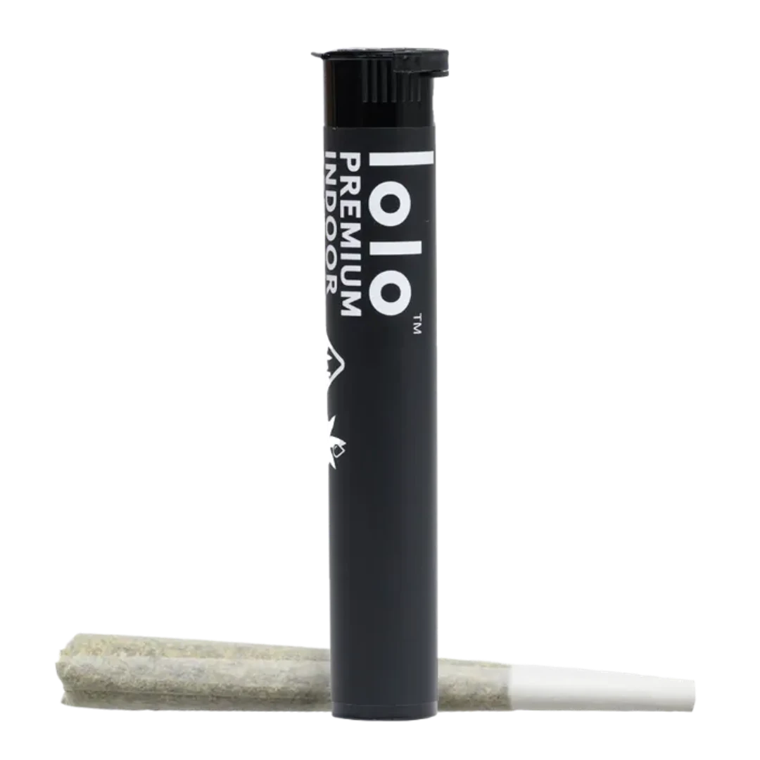 INFUSED PREROLL [1G] GRAPEFUL DEAD - 1 G product image