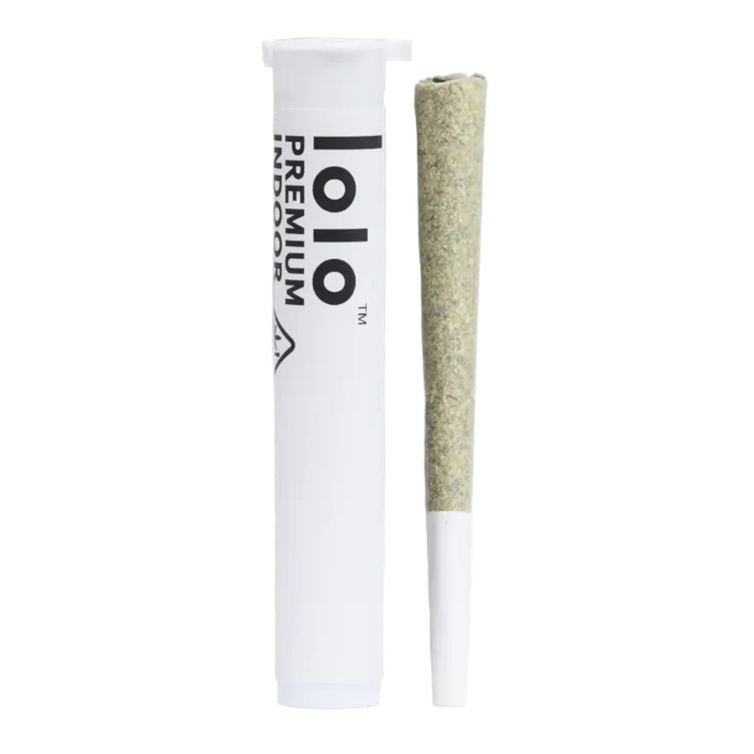 PREROLL [1G] LEMON HEADZ - 1 G product image