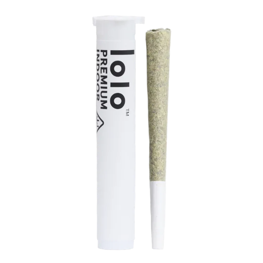 PREROLL [1G] ZEBRA GUM - 1 G
