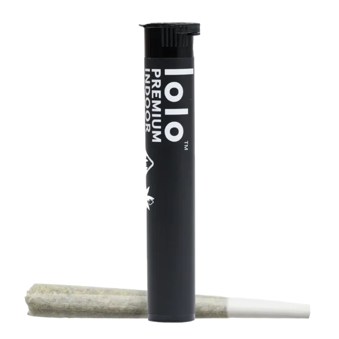 INFUSED PREROLL [1G] #SHESLAPZ - 1 G product image