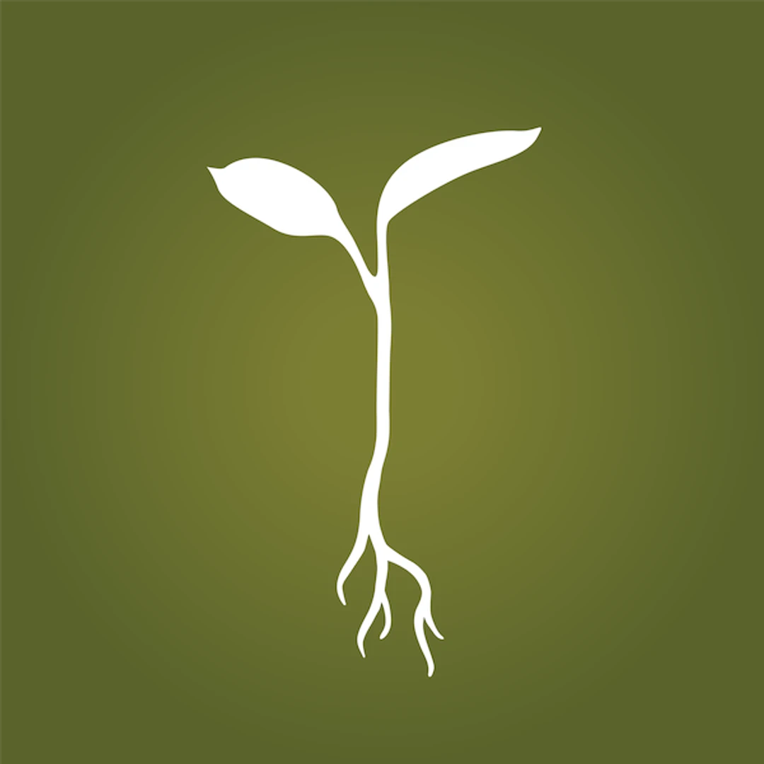 RAW GARDEN logo