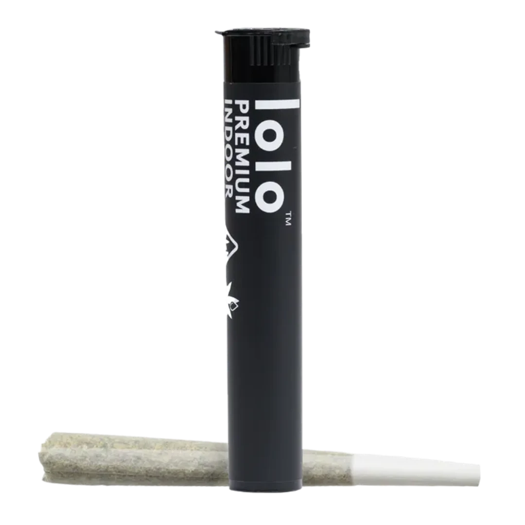PREROLL [1G] BLUEBERRY HAZE - 1 G product image