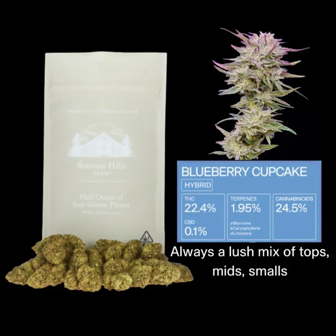 FLOWER [14G] BLUEBERRY CUPCAKE product image