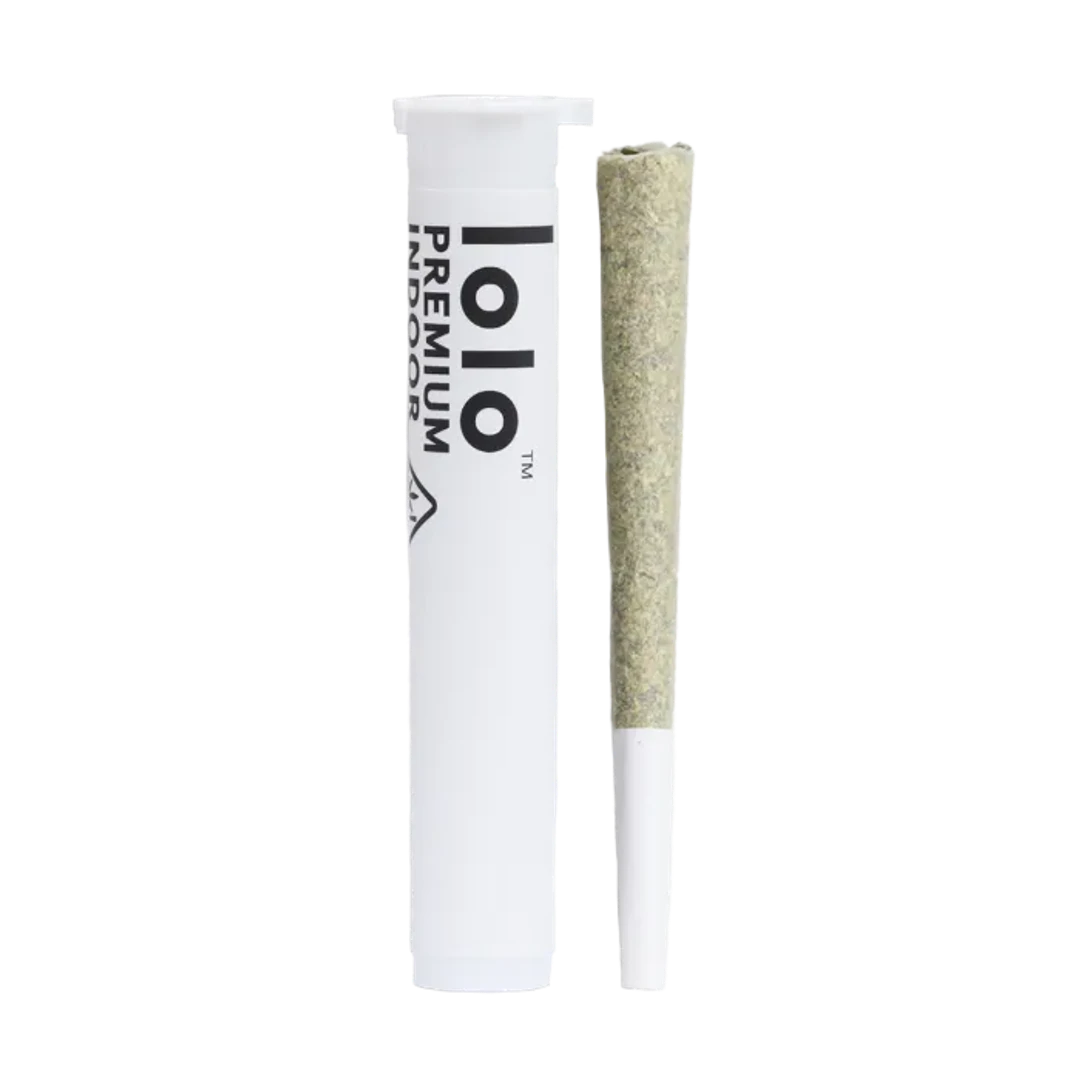 LEMON HEADZ PRE-ROLL 1G