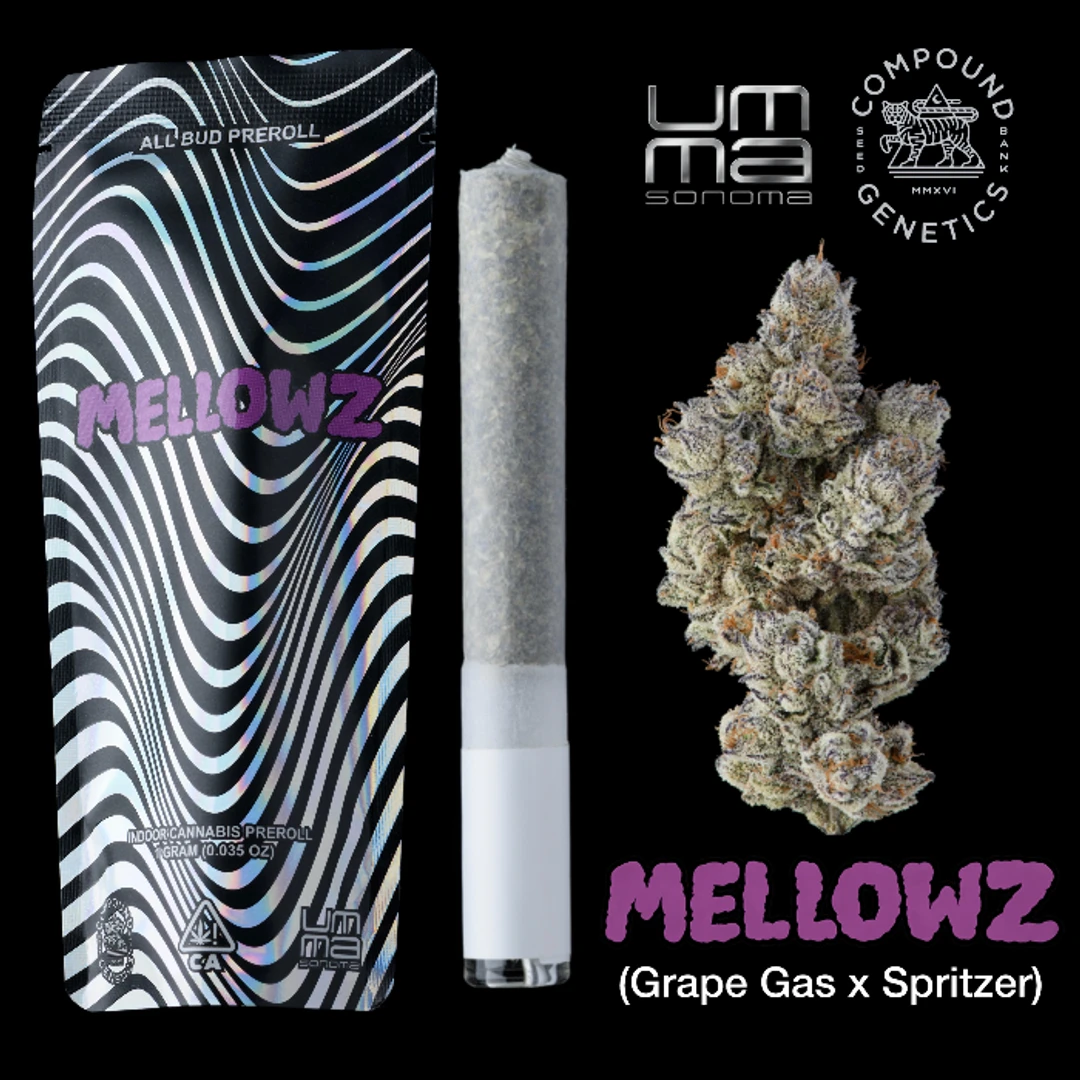 PREROLL [1G] MELLOWZ - 1 G product image