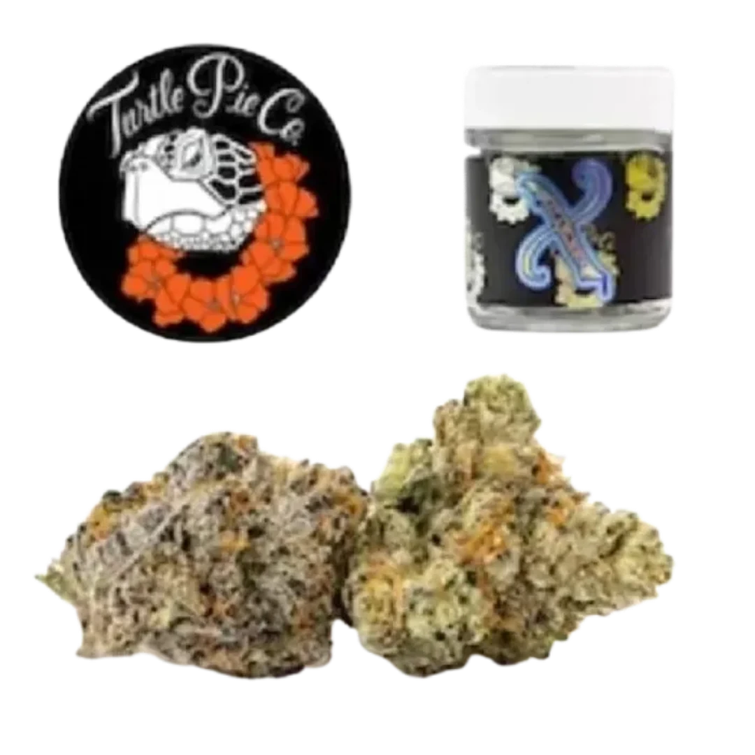 GELATO X 3.5G - 3.5 g