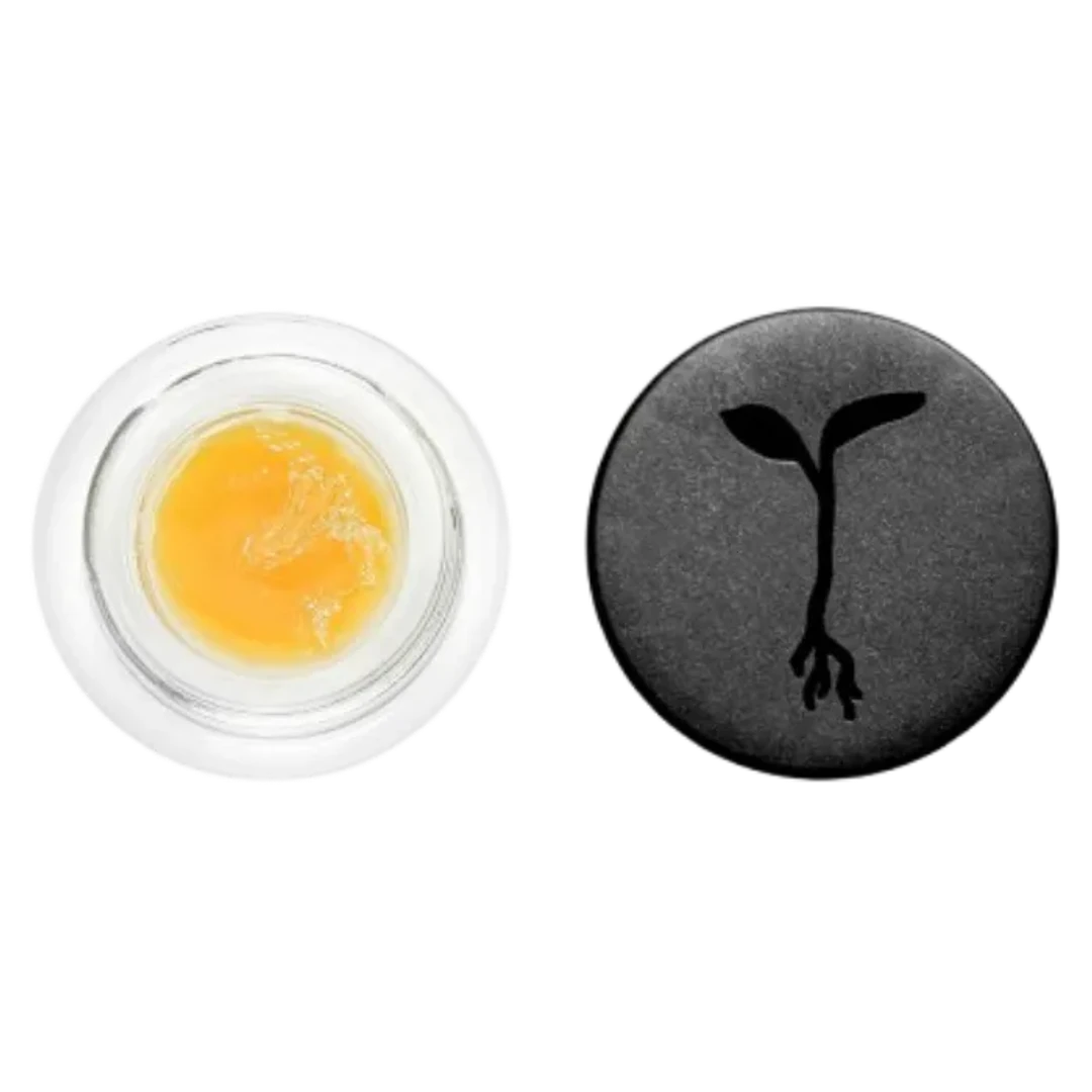 GOD'S BREATH LIVE BADDER 1G